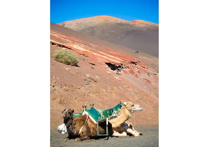 아파트 Jardines 2 푸에르토 델 카르멘