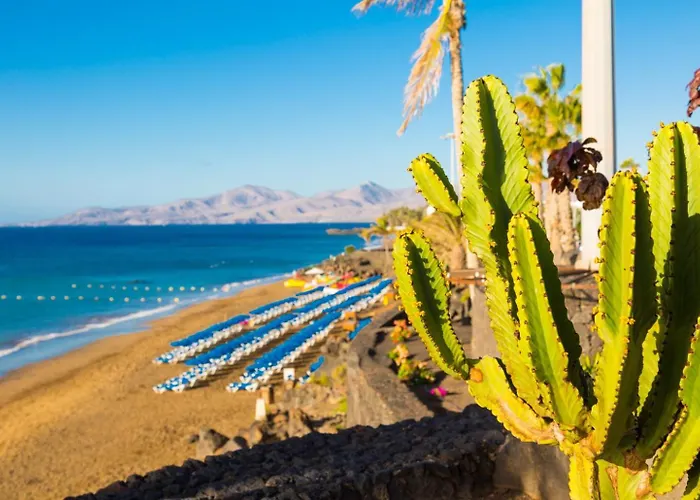 Jardines 2 * 푸에르토 델 카르멘